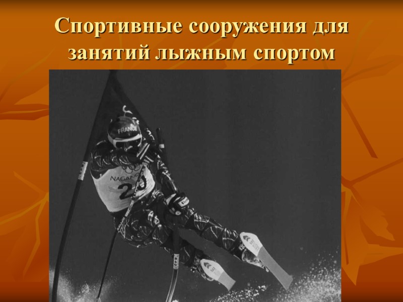 Спортивные сооружения для занятий лыжным спортом